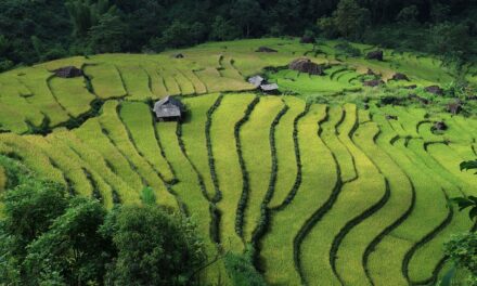 Beyond the Tourist Trails: Secret Spots in Vietnam You Need to See
