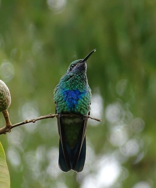 Colombia Travel Guide: Must-Visit Destinations for Every Type of Explorer