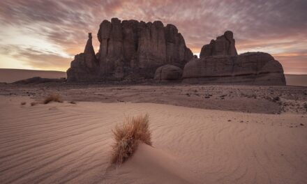 Exploring Algeria’s Untouched Beauty: A Guide to Its Best-Kept Travel Secrets