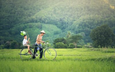 Exploring Cambodia’s Most Fascinating Facts and Lesser-Known Wonders