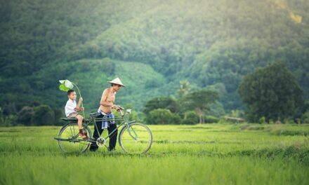 Exploring Cambodia’s Most Fascinating Facts and Lesser-Known Wonders