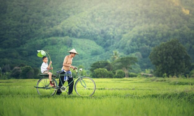Exploring Cambodia’s Most Fascinating Facts and Lesser-Known Wonders