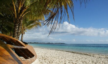 Exploring Mauritius: Hidden Gems and Insider Travel Tips for Your Ultimate Island Getaway