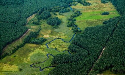 Exploring Poland’s Best-Kept Secrets: Stunning Spots You Can’t Miss