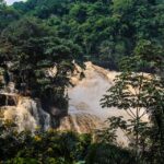 Exploring the Congo: Expert Travel Tips for a Unique and Unforgettable Journey