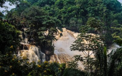 Exploring the Congo: Expert Travel Tips for a Unique and Unforgettable Journey