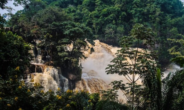 Exploring the Congo: Expert Travel Tips for a Unique and Unforgettable Journey