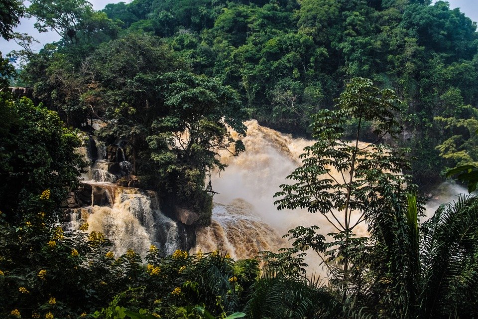 Exploring the Congo: Expert Travel Tips for a Unique and Unforgettable Journey