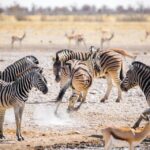 Namibia Awaits: Must-Visit Destinations and Lesser-Known Wonders to Explore
