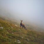 The Ultimate Bulgaria Travel Guide: Must-Visit Destinations and Insider Tips