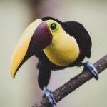The Ultimate Guide to Costa Rica’s Top Must-Visit Destinations