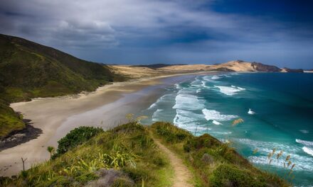 The Ultimate Guide to New Zealand’s Must-Visit Destinations and Scenic Wonders