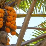 The Ultimate Nigeria Travel Guide: Top Destinations and Insider Tips