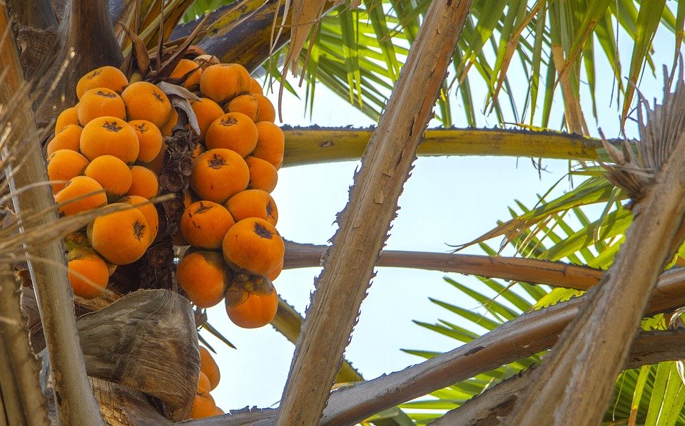 The Ultimate Nigeria Travel Guide: Top Destinations and Insider Tips