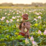 The Ultimate Travel Guide to Cambodia: Expert Tips for an Unforgettable Journey