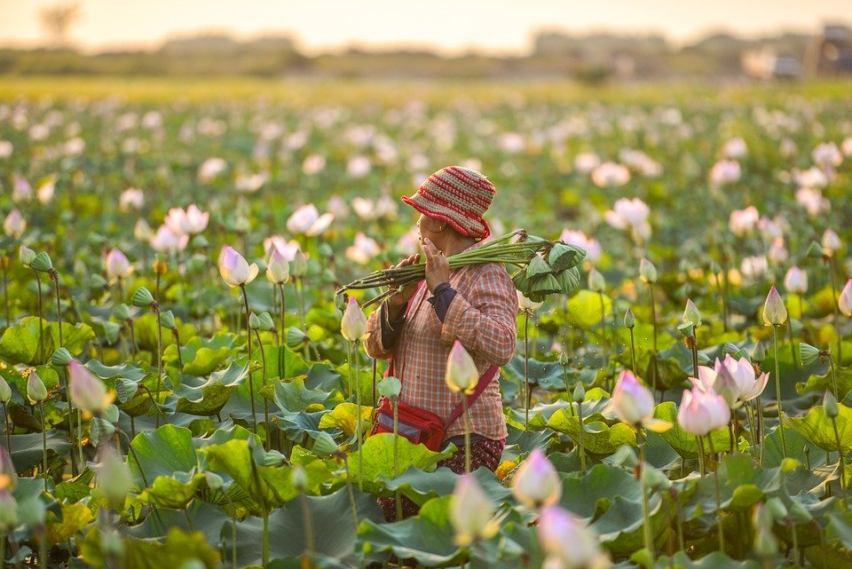 The Ultimate Travel Guide to Cambodia: Expert Tips for an Unforgettable Journey