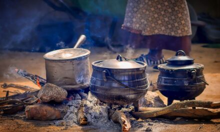 Top Things to Do in Zimbabwe: A Travel Guide to Fascinating Facts and Iconic Spots