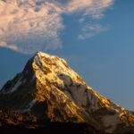 Travel Rewards 101: Choosing the Best Credit Card for Your Travel Goals