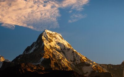 Travel Rewards 101: Choosing the Best Credit Card for Your Travel Goals