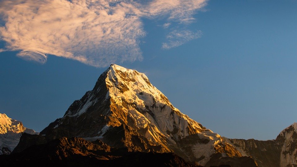 Travel Rewards 101: Choosing the Best Credit Card for Your Travel Goals