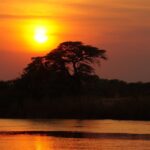 Traveling Botswana: Expert Tips for Exploring Its Untamed Wildlife and Cultural Wonders