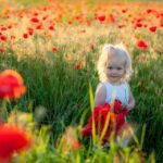 Untold Wonders of Ukraine: Travel Tips and Unique Destinations You Can’t Miss