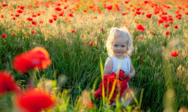 Untold Wonders of Ukraine: Travel Tips and Unique Destinations You Can’t Miss