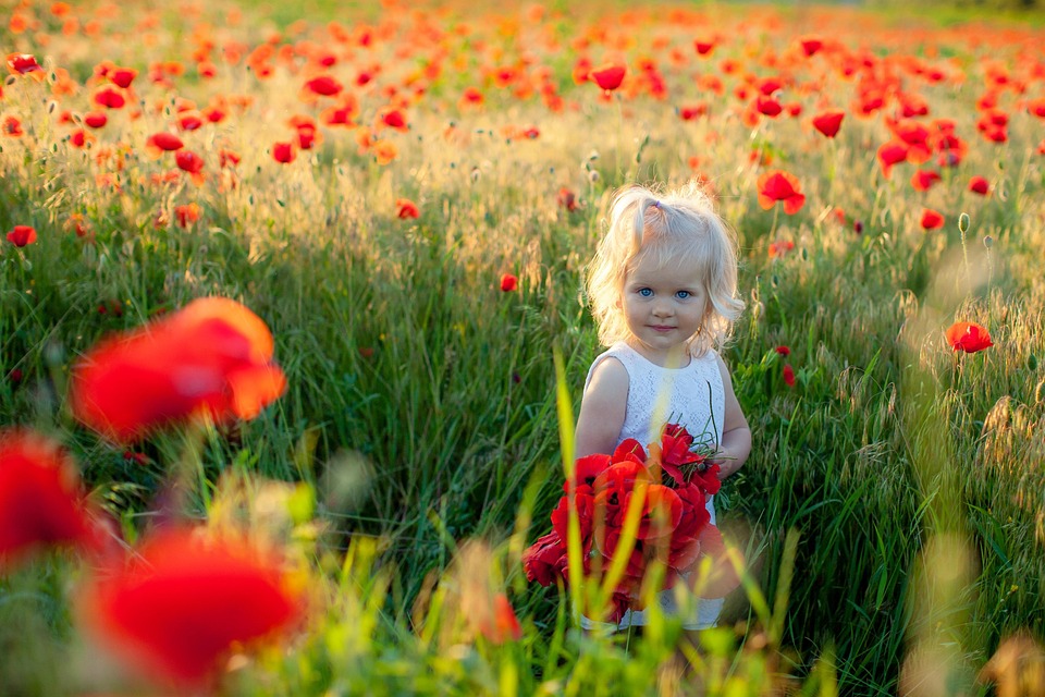 Untold Wonders of Ukraine: Travel Tips and Unique Destinations You Can’t Miss