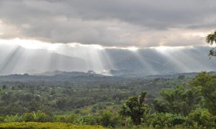 Unveiling the Congo: Hidden Gems and Must-Visit Destinations for Every Adventurer