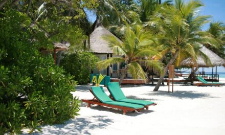 Unveiling the Maldives: Hidden Gems and Must-See Islands You Shouldn’t Miss