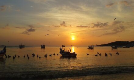 Where Beauty Meets Adventure: Top Must-See Spots in Venezuela
