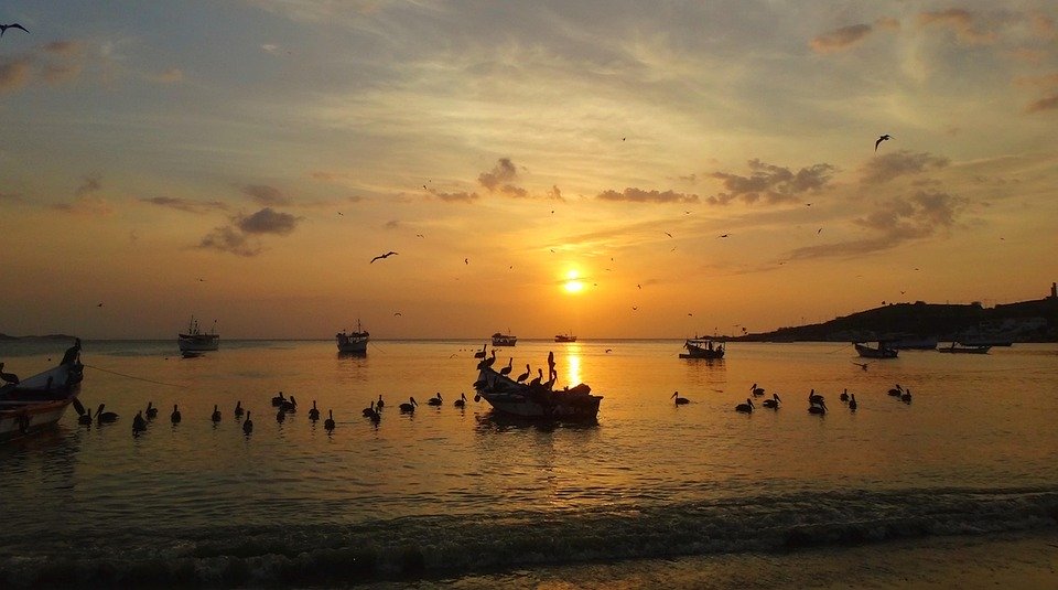 Where Beauty Meets Adventure: Top Must-See Spots in Venezuela
