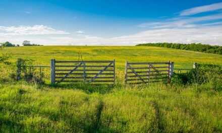 Why Uruguay Should Be Your Next Travel Escape: Expert Tips and Unmissable Sights