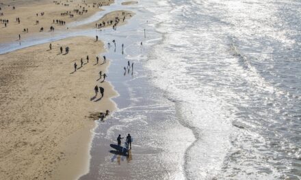Your Ultimate Travel Guide to the Netherlands: Expert Tips and Unique Experiences