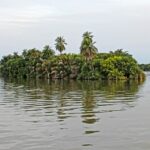 Discover the Hidden Gems of Gambia: A Guide to Its Best-Kept Travel Secrets