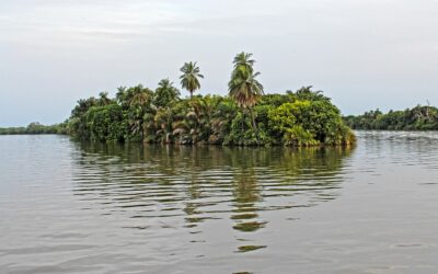Discover the Hidden Gems of Gambia: A Guide to Its Best-Kept Travel Secrets