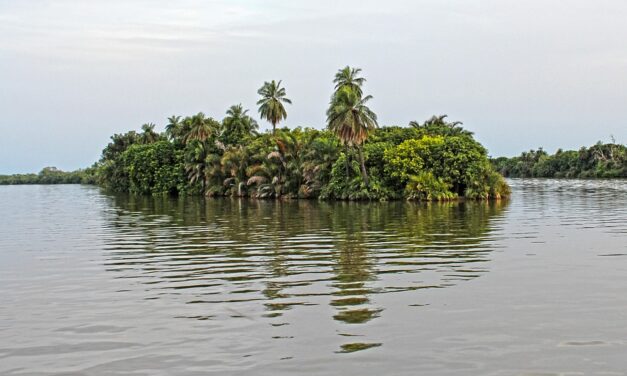 Discover the Hidden Gems of Gambia: A Guide to Its Best-Kept Travel Secrets