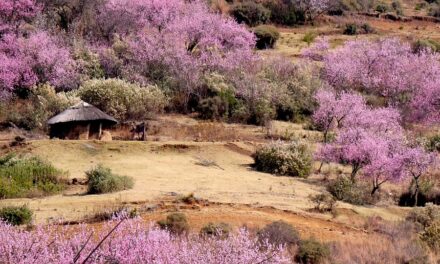Discover the Magic of Lesotho: Hidden Gems and Must-Visit Destinations You Can’t Miss