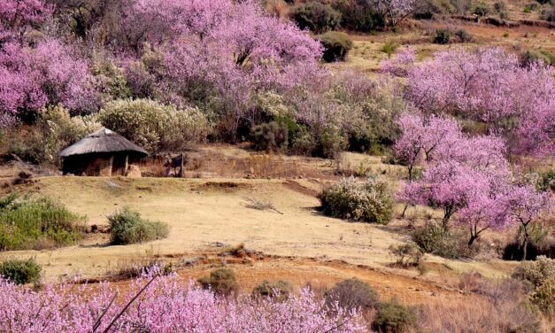 Discover the Magic of Lesotho: Hidden Gems and Must-Visit Destinations You Can’t Miss