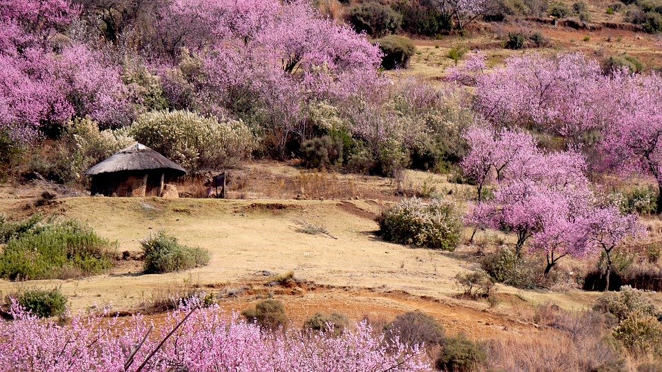 Discover the Magic of Lesotho: Hidden Gems and Must-Visit Destinations You Can’t Miss