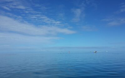 Top Things to Do in Fiji: A Traveler’s Guide to Paradise
