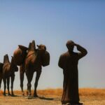 Top Things to Do in Qatar: Insider Tips for an Authentic Travel Adventure