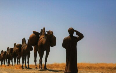 Top Things to Do in Qatar: Insider Tips for an Authentic Travel Adventure
