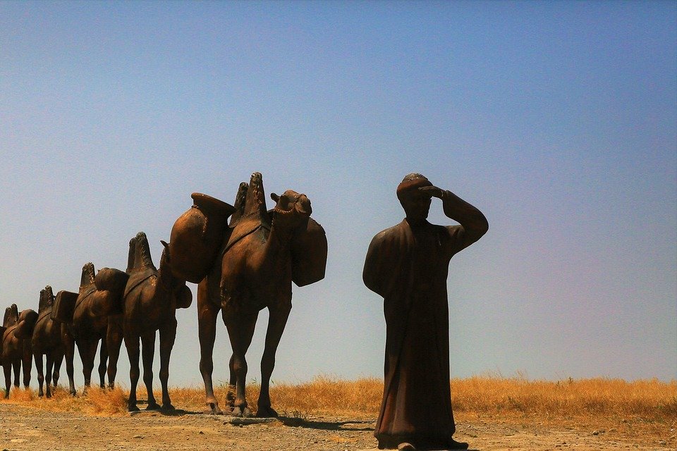 Top Things to Do in Qatar: Insider Tips for an Authentic Travel Adventure