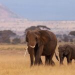 Unveiling Kenya’s Hidden Gems: Underrated Destinations You Can’t Miss