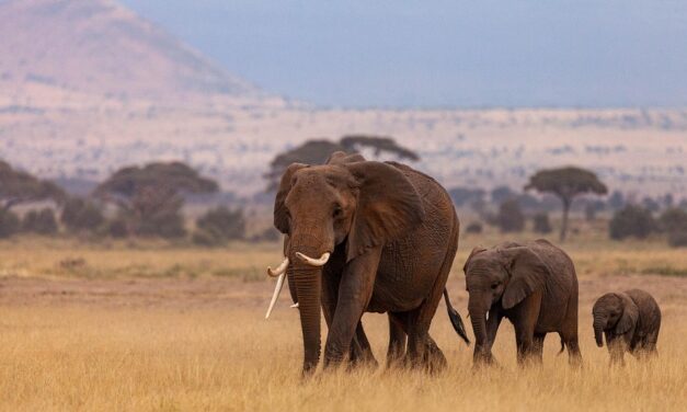Unveiling Kenya’s Hidden Gems: Underrated Destinations You Can’t Miss