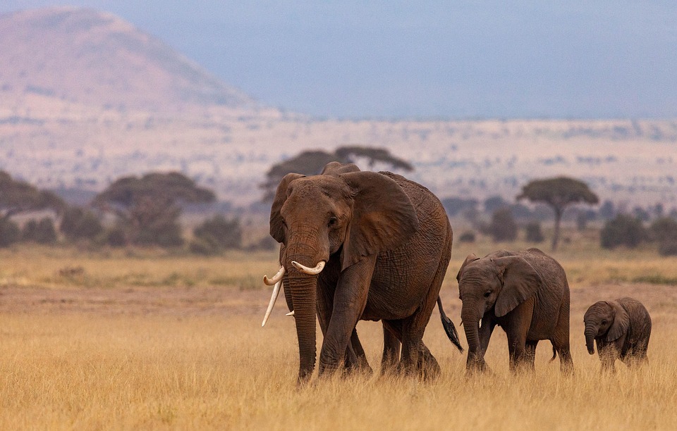 Unveiling Kenya’s Hidden Gems: Underrated Destinations You Can’t Miss