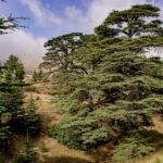 Unveiling Lebanon: Hidden Gems, Stunning Destinations, and Travel Tips for an Unforgettable Journey