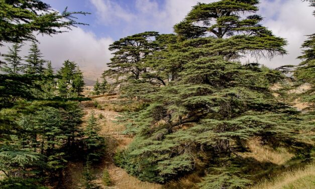 Unveiling Lebanon: Hidden Gems, Stunning Destinations, and Travel Tips for an Unforgettable Journey