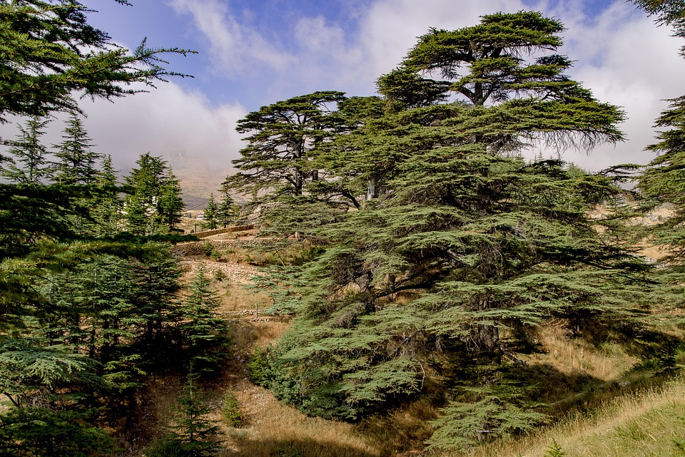 Unveiling Lebanon: Hidden Gems, Stunning Destinations, and Travel Tips for an Unforgettable Journey